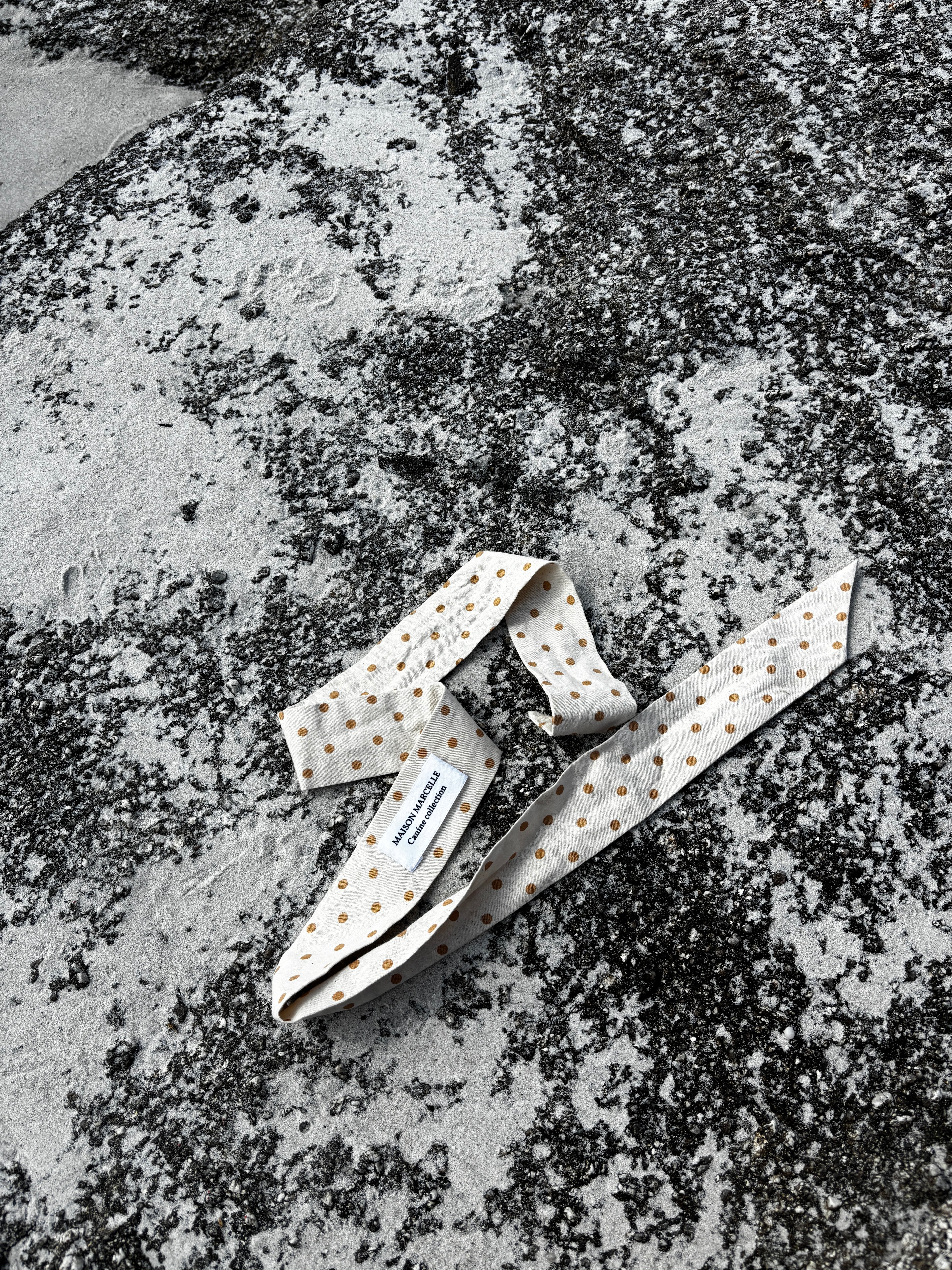 Lot Foulard & Twilly — Duo Assorti
